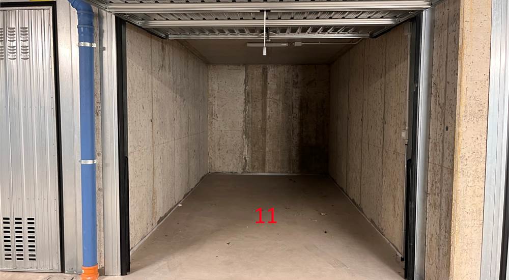 Photo 11